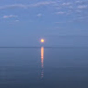 Meet your Posher, Zoë